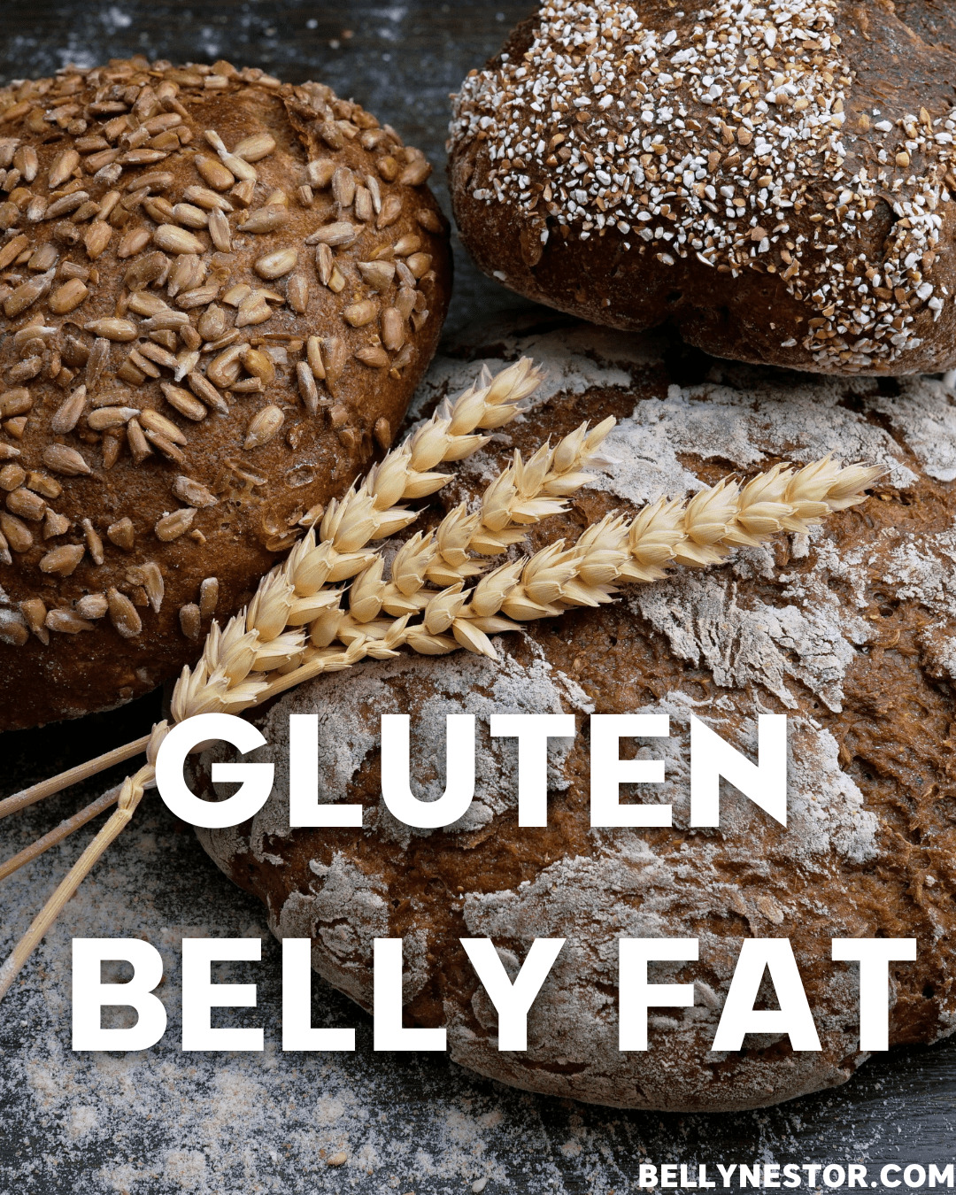 what-is-gluten-belly-fat-bellynestor